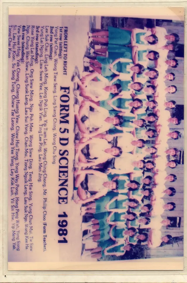 1981 (2)