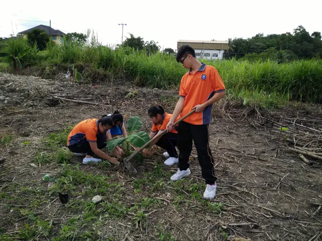 IMG20160615125644